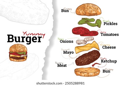 Yummy burger, vector hand drawn, with ingredients drawn separately. Bun, fresh tomato, onion, cucumber, cheese, beef. Food assets easy to edit. Outline and fill separate. Perfect for menu design