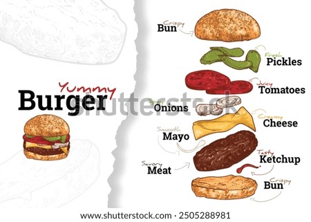 Yummy burger, vector hand drawn, with ingredients drawn separately. Bun, fresh tomato, onion, cucumber, cheese, beef. Food assets easy to edit. Outline and fill separate. Perfect for menu design