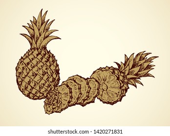 Yummy sappy pinapple comosus fruitful isolated on white backdrop. Freehand outline black ink hand drawn picture logo sketchy in retro art scribble style pen on paper. Closeup view with space for text