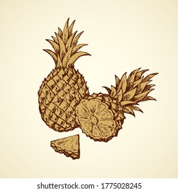 Yummy sappy pinapple comosus fruitful isolated on white backdrop. Freehand outline black ink hand drawn picture logo sketchy in retro art scribble style pen on paper. Closeup view with space for text