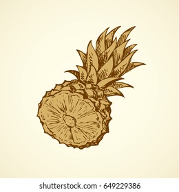 Yummy sappy pinapple comosus fruitful isolated on white backdrop. Freehand outline black ink hand drawn picture logo sketchy in retro art scribble style pen on paper. Closeup view with space for text