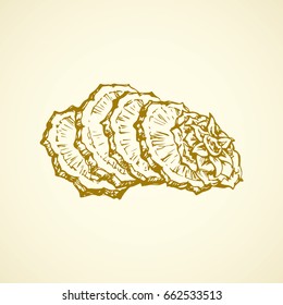 Yummy sappy pinapple comosus fruitful isolated on white backdrop. Freehand outline black ink hand drawn picture logo sketchy in retro art scribble style pen on paper. Closeup view with space for text