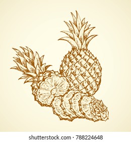 Yummy sappy pinapple comosus fruitful isolated on white backdrop. Freehand outline black ink hand drawn picture logo sketchy in retro art scribble style pen on paper. Closeup view with space for text