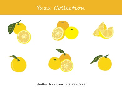 yuzu collection in different poses. Vector illustration.