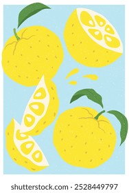 Ilustração de fruta YUZU. Ilustração vetorial de citrinos asiáticos aromáticos frescos