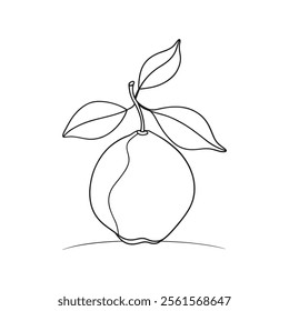
Yuzu fruit with leaf Continuous line art flat vector illustration