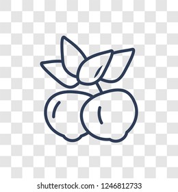 Yuzu icon. Trendy linear Yuzu logo concept on transparent background from Fruits and vegetables collection
