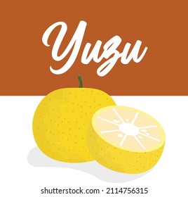 yuzu juicy vector illustration with section, beautiful square background design