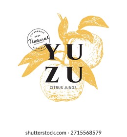 Modelo de design de vetor de superfruta natural Yuzu com braço desenhado à mão yuzu