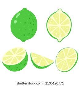 Yuzu slice, half cut yuzu and front view of cut ripe yuzu on white background. Set of vector illustration.