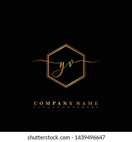 YV Initial luxury handwriting logo vector