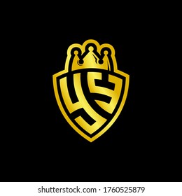 YY monogram logo with shield and crown style design template isolated on black background