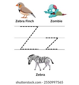 Z Alfabeto Inglés Letra Trazado Aprendizaje Vector Preescolar