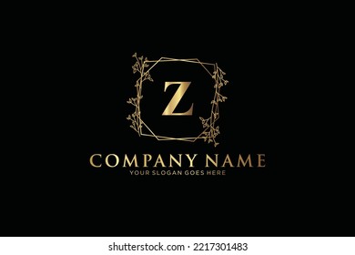 Z Beauty vector initial logo, handwriting logo of initial signature, wedding, fashion, jewerly, boutique, floral and botanical with creative template for any company or business.