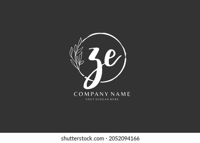 Z E ZE Initial handwriting or handwritten logo for identity. Logo with signature and hand drawn style.