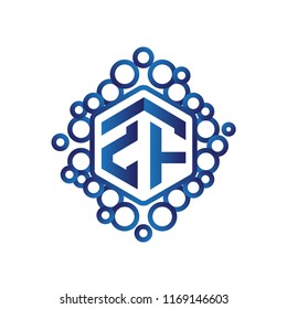 Z F Initial letter hexagonal logo vector