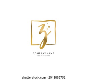 Z Initial handwriting or handwritten logo for identity. Logo with signature and hand drawn style.