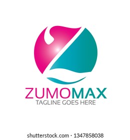 Z Letter Logo Template
