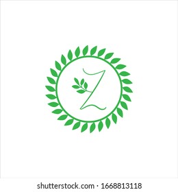 Z letter logo vector design