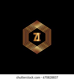 Z I Logo