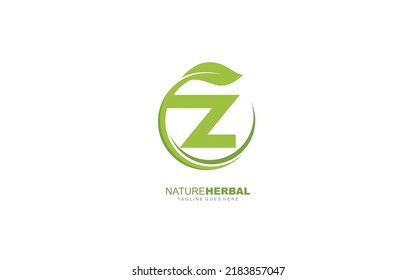 Z logo leaf for identity. nature template vector illustration for your brand.