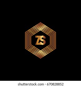 Z S Logo