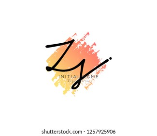 Z S Signature initial logo template vector - Vector 
