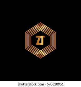 Z T Logo