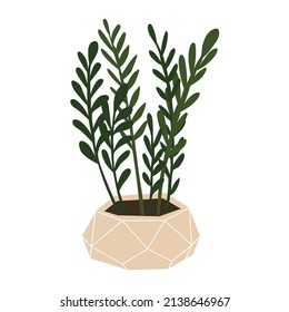 Zamioculcas in the geometric pot. Room plants. For decor home or office interior. Trendy indoor herb. Isolated element on white background. Flat style in vector illustration. 