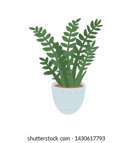 Zamioculcas. Pot plant. Houseplant isolated on white background. Vector illustration in hand-drawn flat