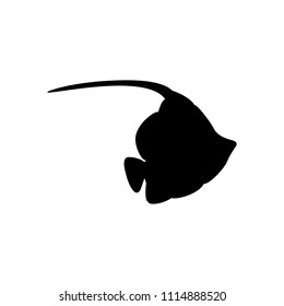 Zanclus cornutus fish silhouette on the white background. Vector illustration