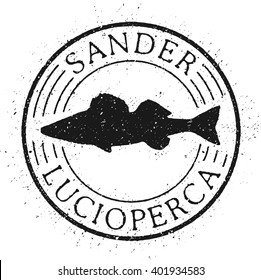Zander fish vector and illustration. Stamp fish.
