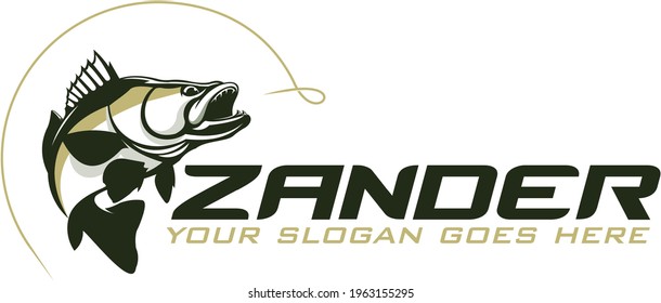 Zander Fishing logo, Great and Fresh Zander or Walleye Fish Jumping out of the Water, Nice to use as your Zander or walleye fishing Activity. 