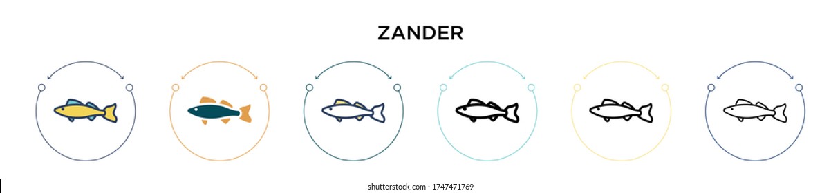 Zander icon in filled, thin line, outline and stroke style. Vector illustration of two colored and black zander vector icons designs can be used for mobile, ui, web