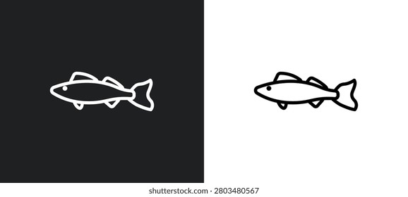 zander outline icon in white and black colors. zander flat vector icon from animals collection for web, mobile apps and ui.