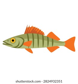 Zander river fish icon with natural fresh food and healthy food vector illustration isolated on white background flat design