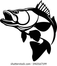 Zander Walleye Fish Vector Logo, Great to use as your Zander Walleye fishing Activity. 