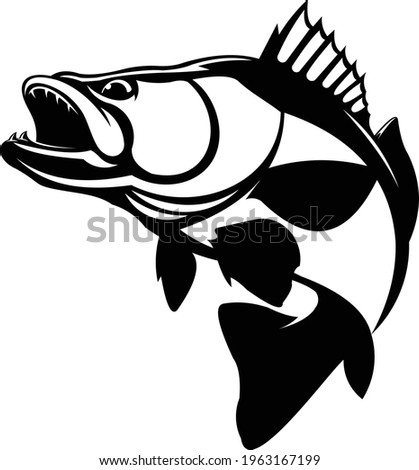 Zander Walleye Fish Vector Logo, Great to use as your Zander Walleye fishing Activity. 