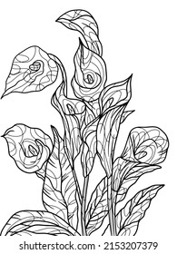 Zantedeschia flower bouquet. Coloring book antistress for children and adults.