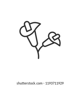 Zantedeschia Garden Modern Simple Vector Icon