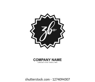 ZB Initial Handwriting Logo Template Vector