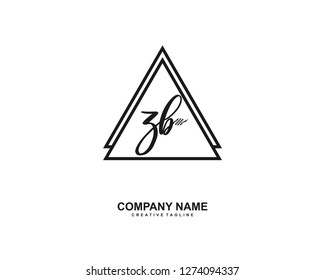 ZB Initial Handwriting Logo Template Vector