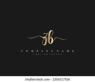 ZB initial handwriting logo template vector