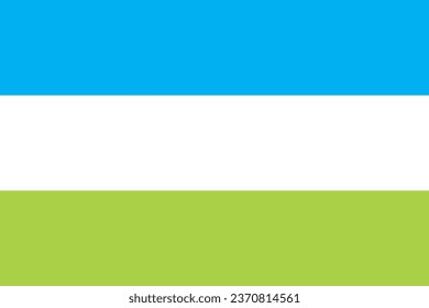 Die Flagge eines Zborow