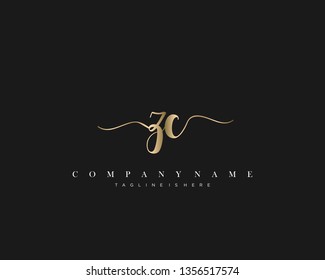 ZC initial handwriting logo template vector