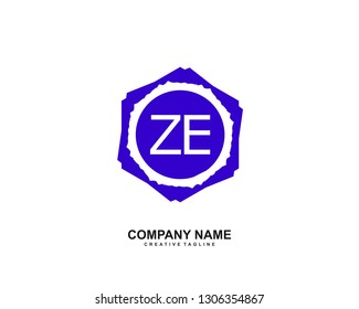 ZE initial logo template vector