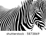 zebra