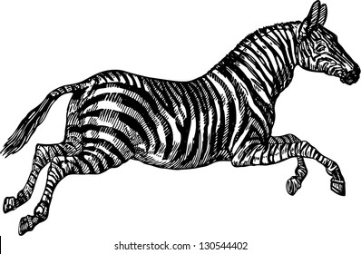 1,188 Zebra Running Stock Vectors, Images & Vector Art | Shutterstock