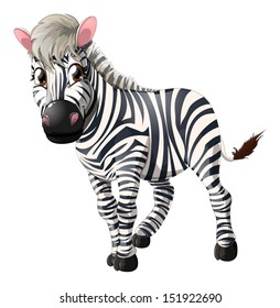 	zebra