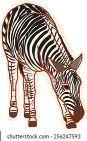Zebra